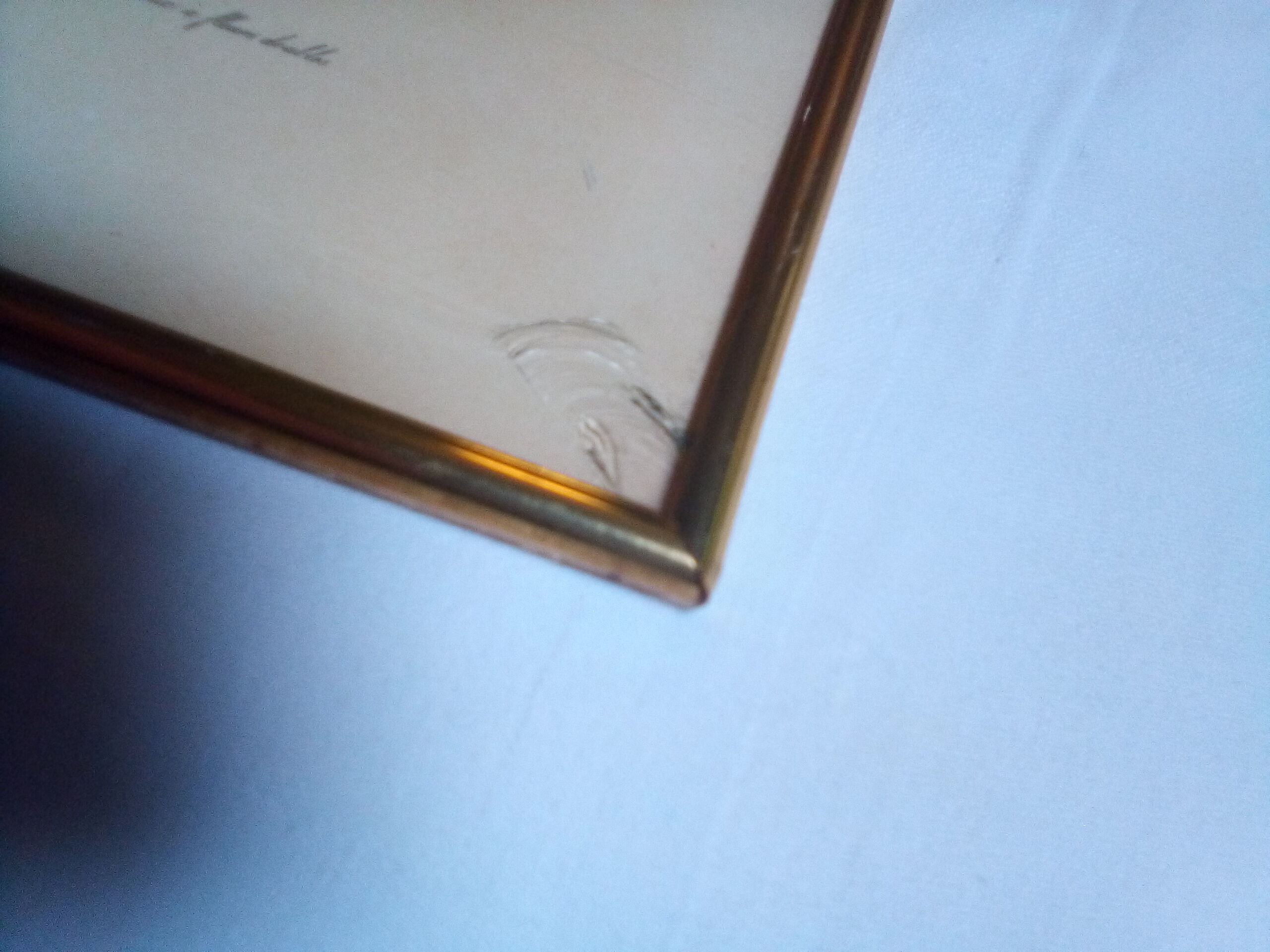 Dreaded botanical plank