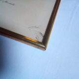 Dreaded botanical plank