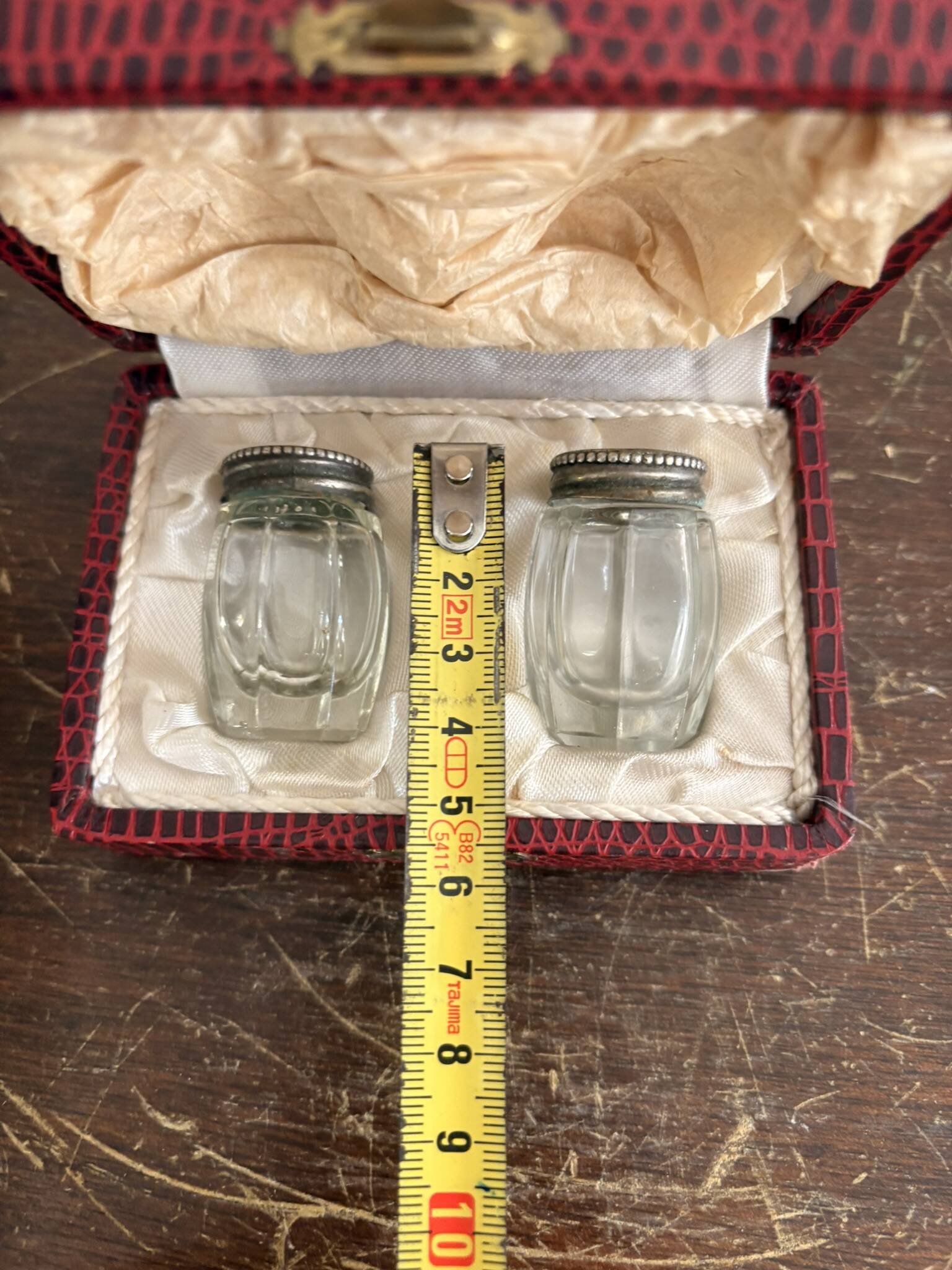 Vintage Salt and Pepper Set, Salt Shaker, Pepper Shaker, Art Deco Case and Bottle