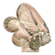 Pink marble fish 1980