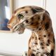 Vintage ceramic leopard
