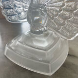 Crystal peacock book greenhouse