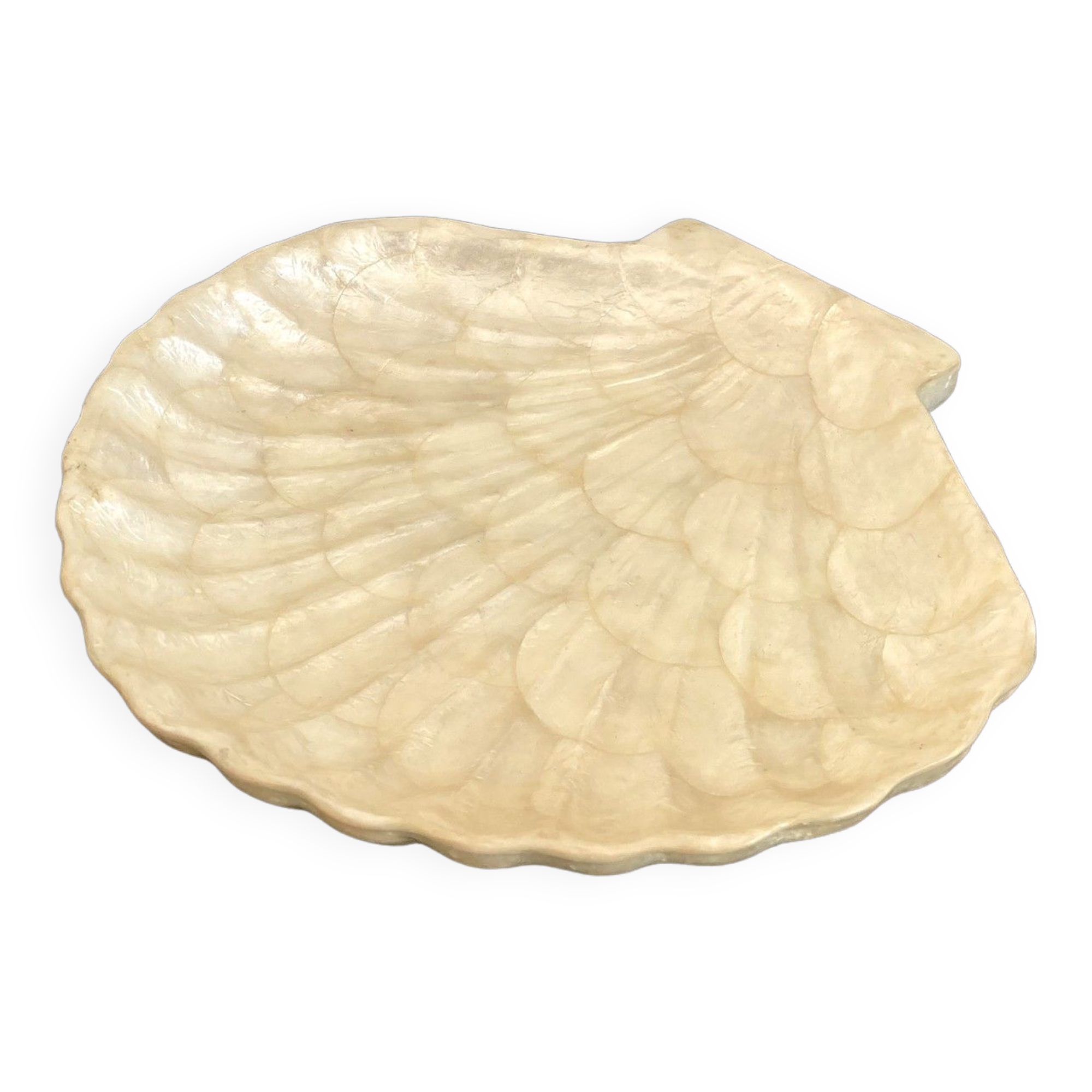 Cup / vacuum vintage pocket in the shape of mother-of-pearl shell
