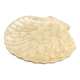 Cup / vacuum vintage pocket in the shape of mother-of-pearl shell