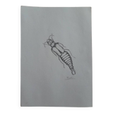 Illustration insecte