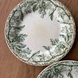 Set of 5 old plates