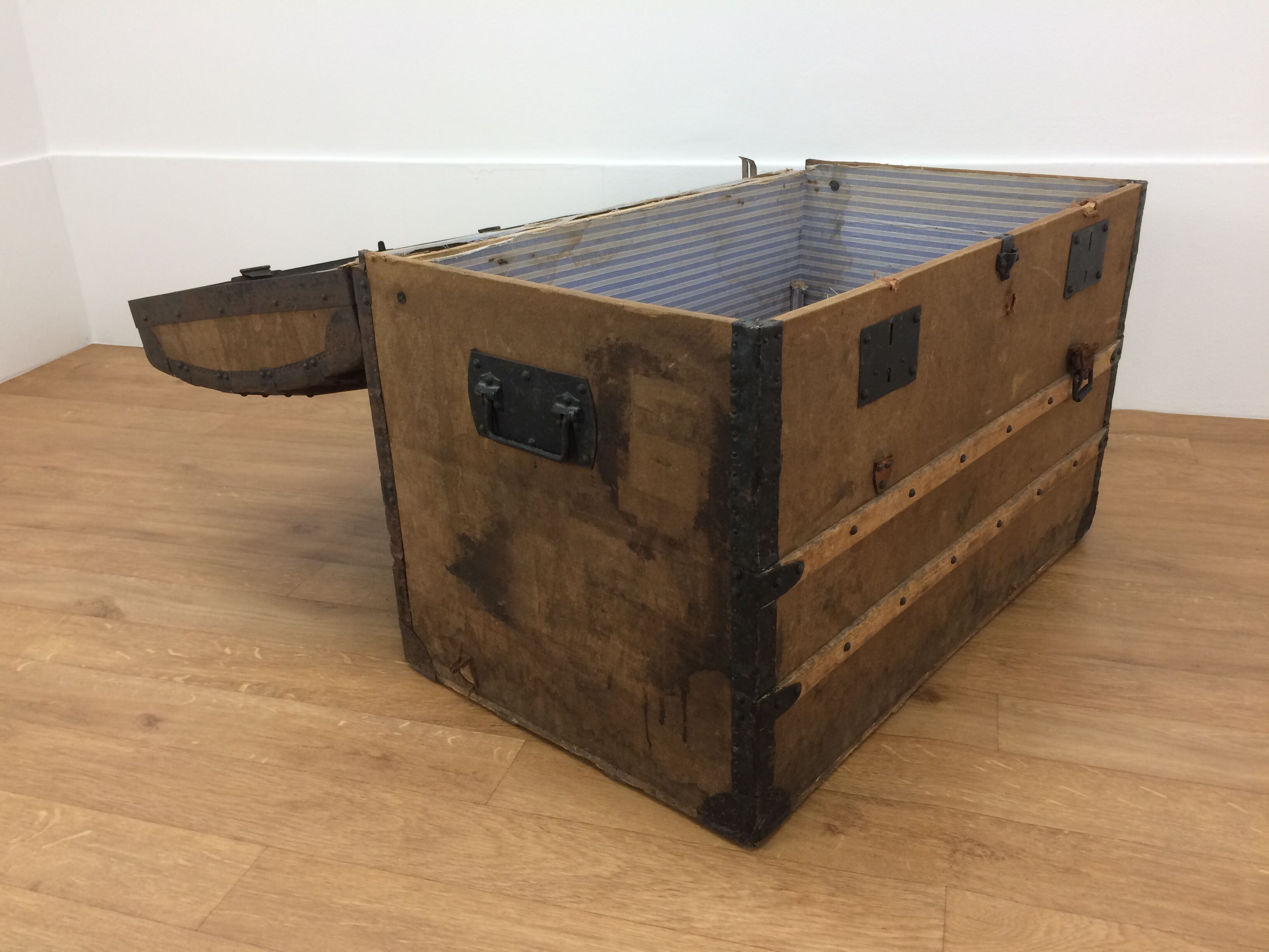 Bulging trunk at the tourist