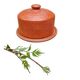 Antique earthenware butter dish