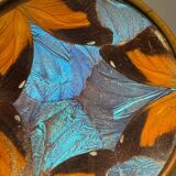 Art Deco butterfly wings catch-all Billère