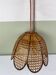 Vintage tulip hanging