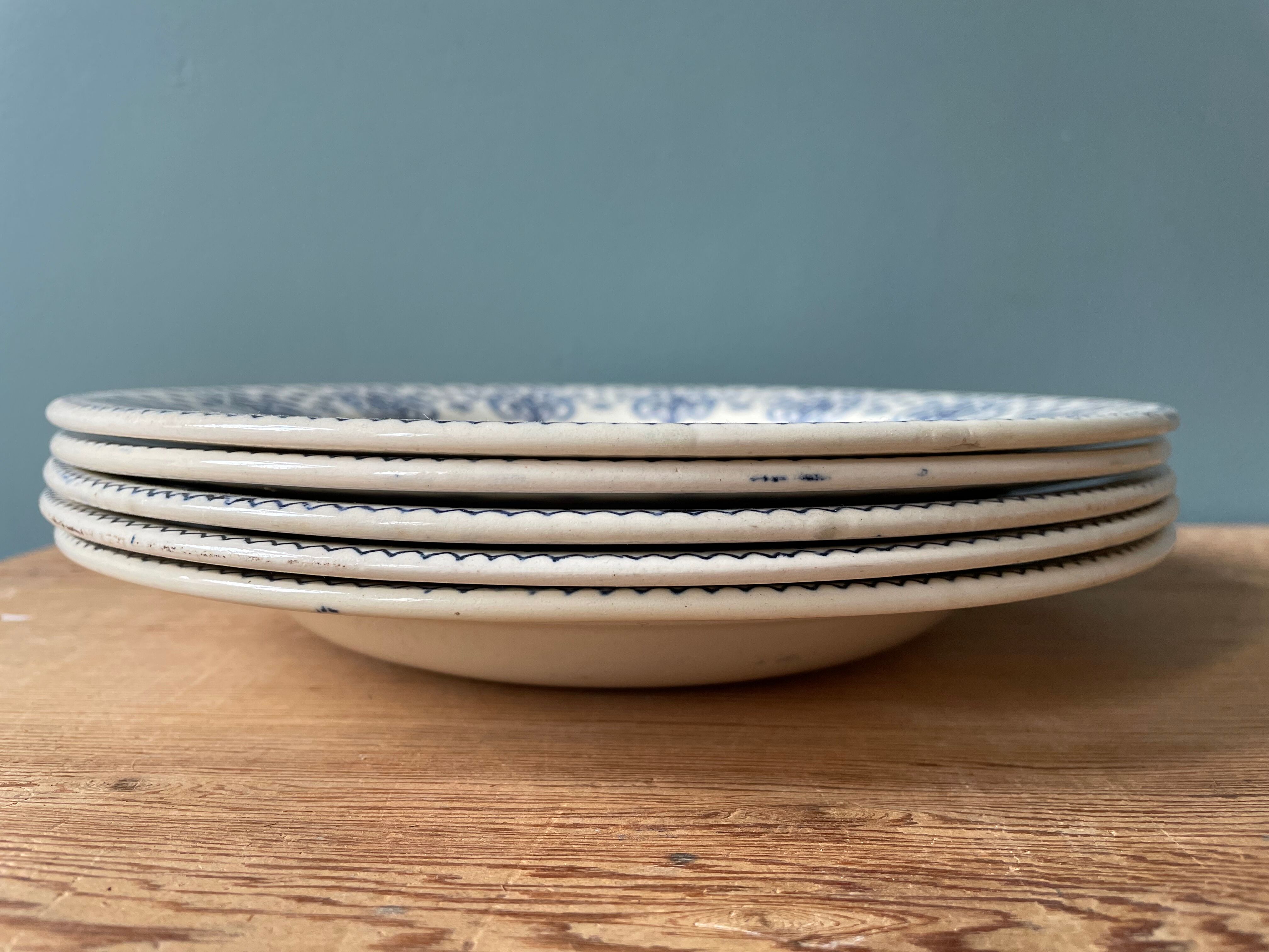 Set of 5 hollow plates Terre de Fer R&A Salins, model Palmes