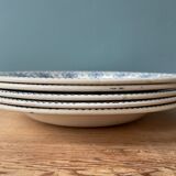Set of 5 hollow plates Terre de Fer R&A Salins, model Palmes