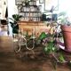 Chandelier quatre branches en laiton