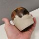 A small, beautiful ceramic vase by Axel Larsen Denmark 1980s