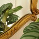 Miroir rocaille style Louis XV artisanal en bois doré XXème 80X65