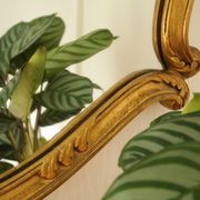Louis XV style rocaille mirror, handcrafted in gilded wood, 20th century, 80x65 cm.