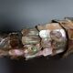 Bottle opener, bottle opener, mother-of-pearl fish