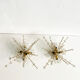 Pair of Snowflake Sputnik Flush Mount Lamps, Austria 1950s