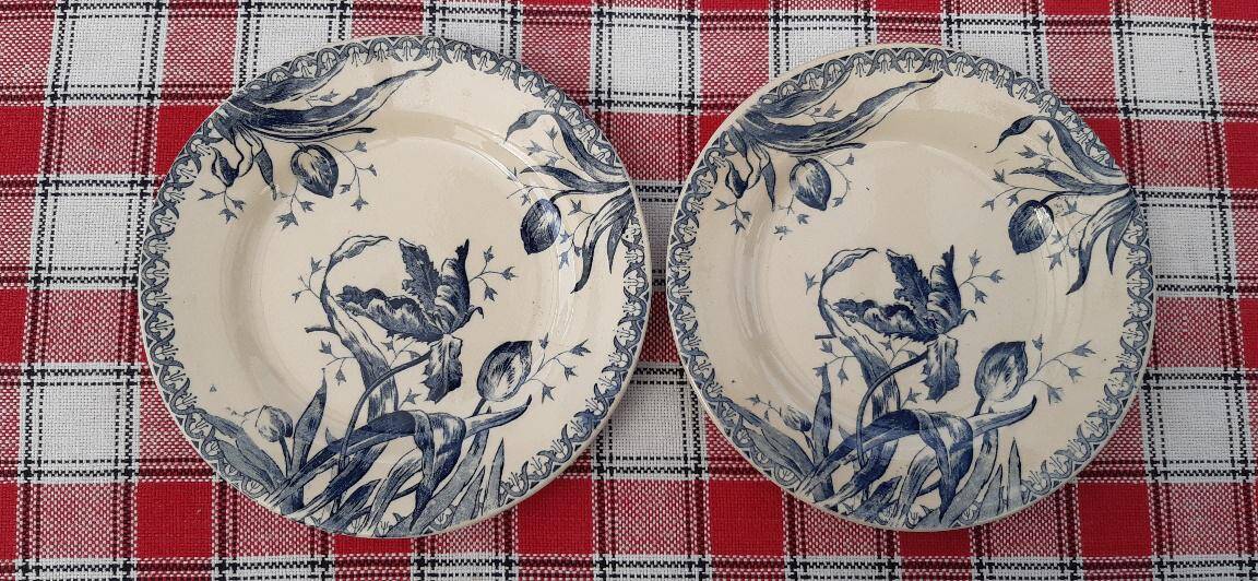 Set of 6 antique ironstone plates