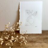 Lemon engraving