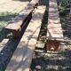 Old farm benches