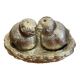 Salt pepper birds in their nest