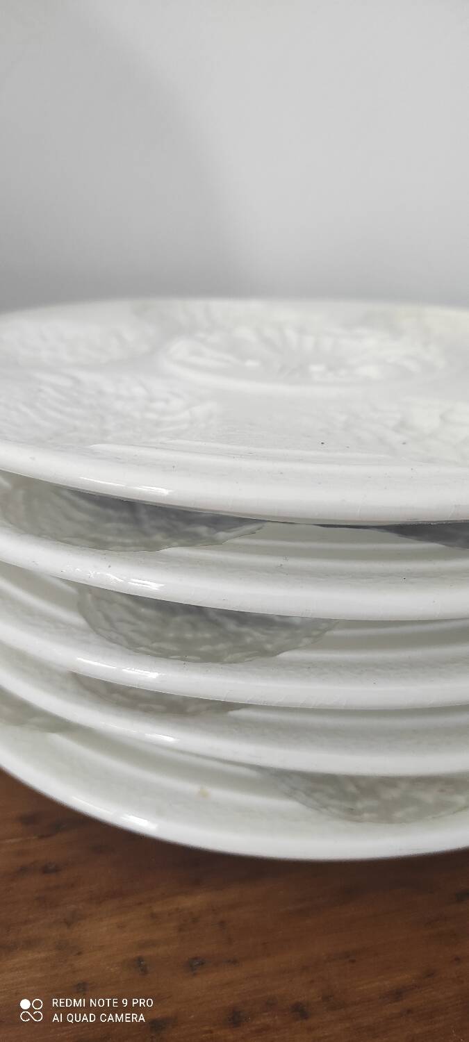 Lot assiettes a Huîtres