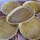 Assiettes Gien fleurs de lotus
