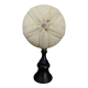 Cabinet of Curiosities sea urchin astropyga radiata on base