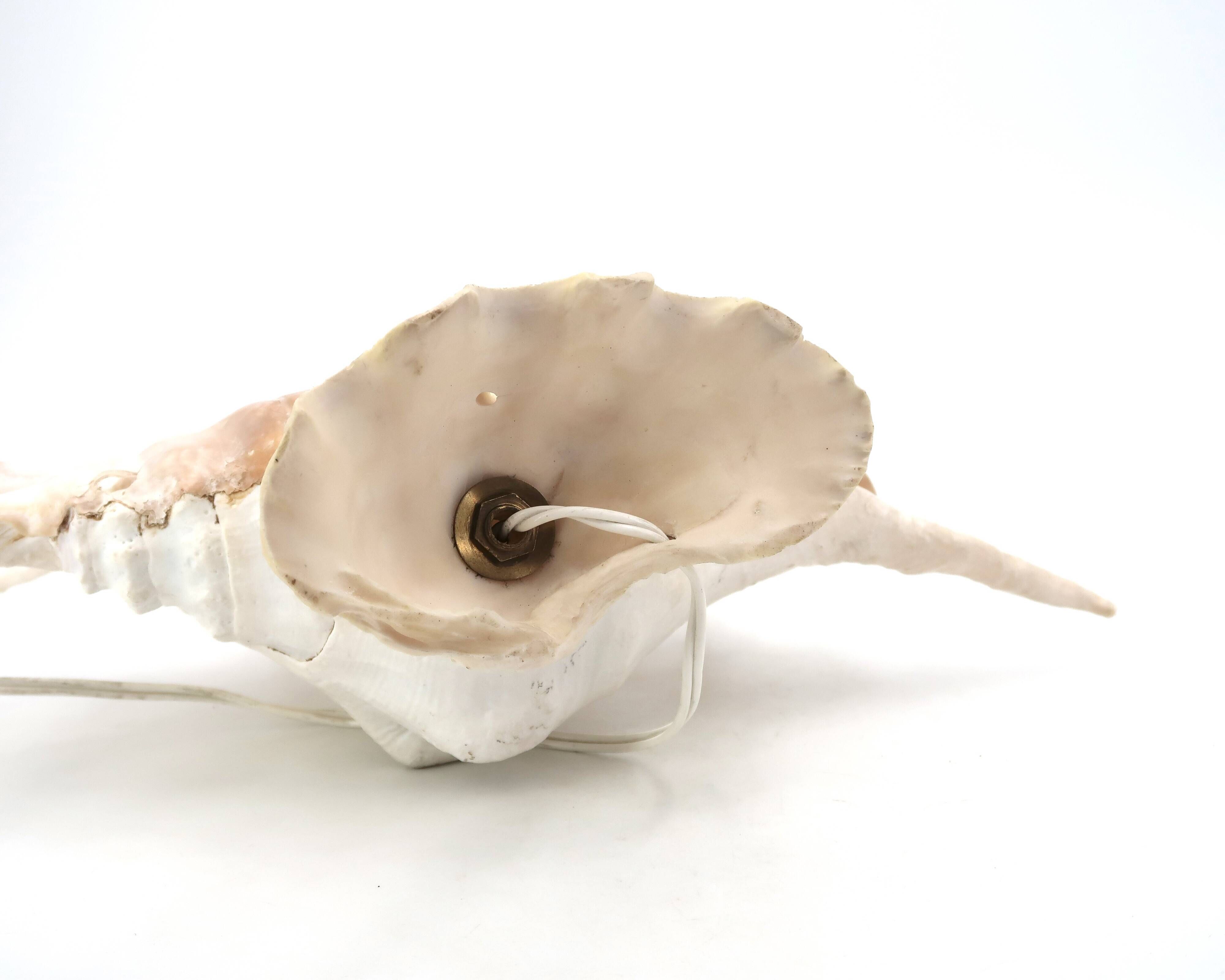 Accent lamp made of natural white shells, 1960s.