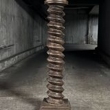 Large column screw press