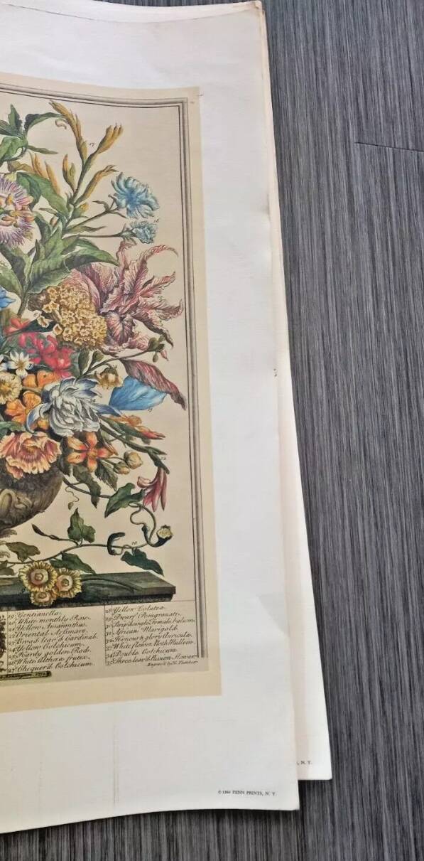 Lot of 19th century Floral Engravings - Vintage Art Print Flowers - 12 months - Robert Furber