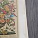 Lot of 19th century Floral Engravings - Vintage Art Print Flowers - 12 months - Robert Furber