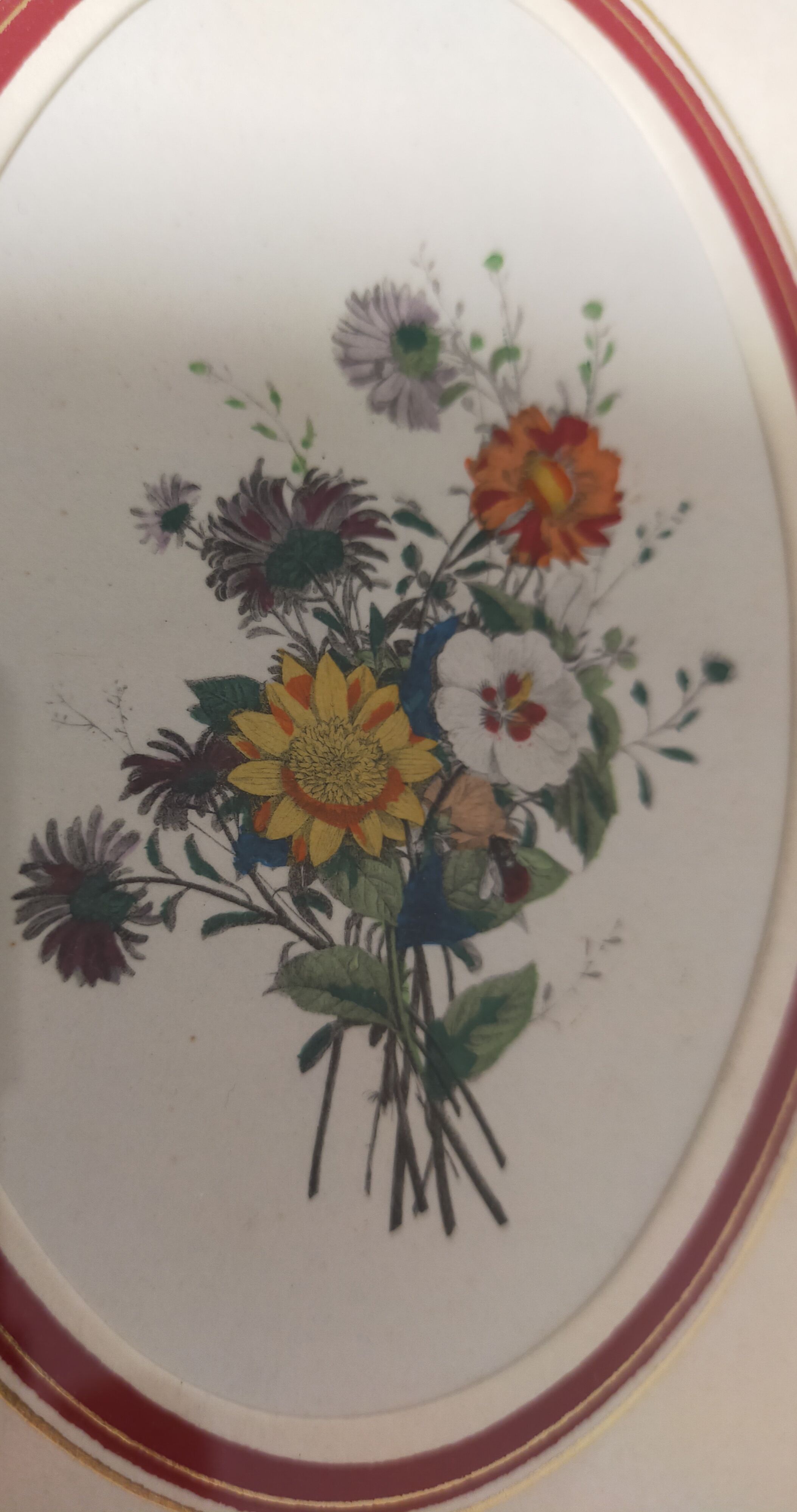 Framed antique botanical engraving with gilded wall frame
