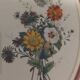 Framed antique botanical engraving with gilded wall frame