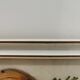 Vintage butterfly taxidermy frame