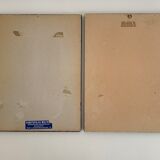 Pair of botanical graphics, 1970