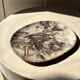 Very large pocket or dish in petrified wood