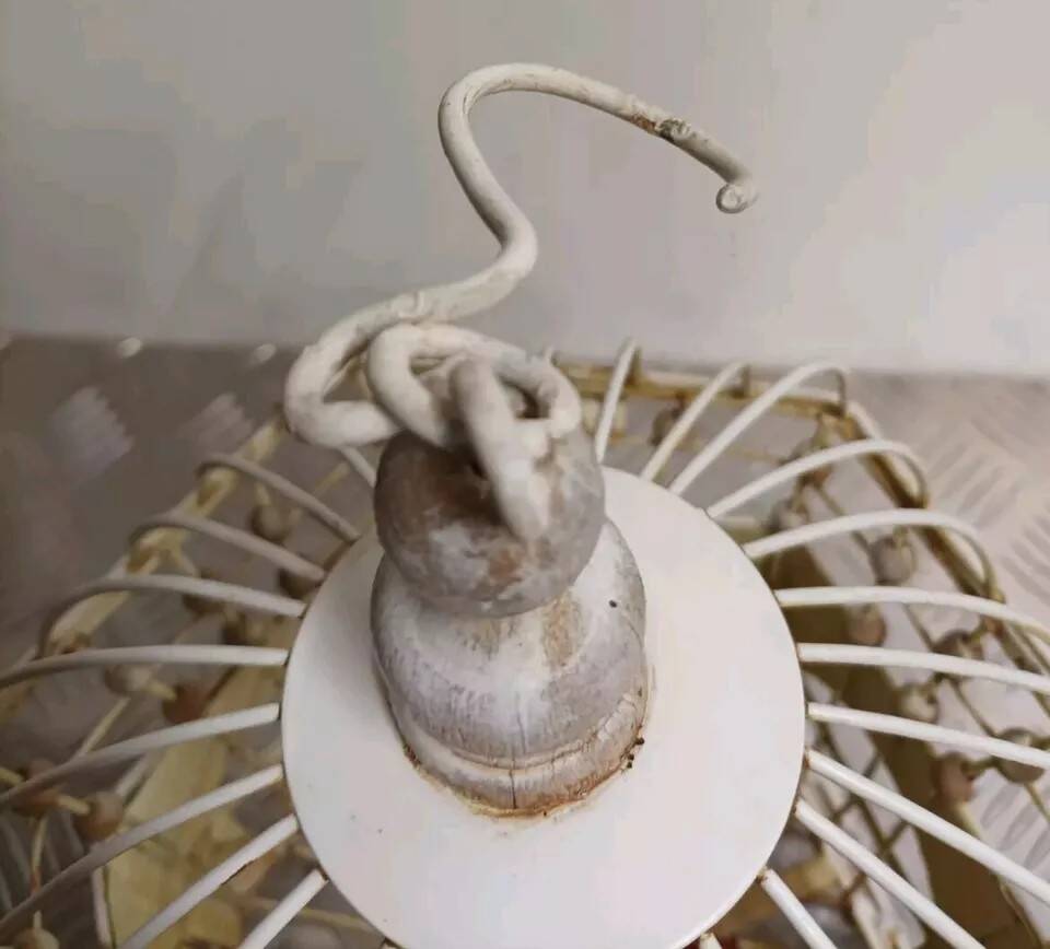 Pair of vintage bird cages