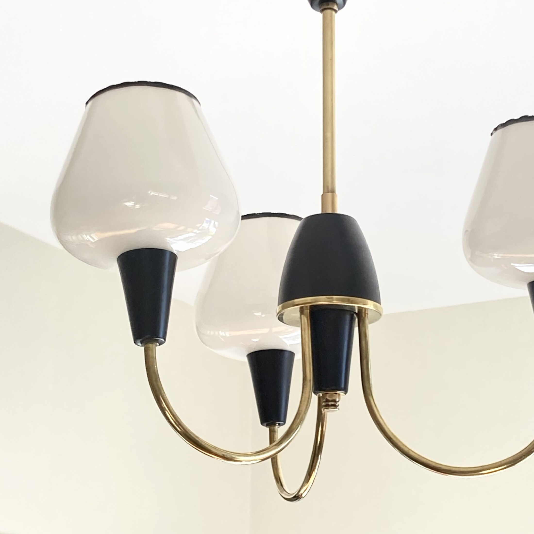 Brass chandelier and black metal tulips in white opaline glass 1950 1960 vintage suspension