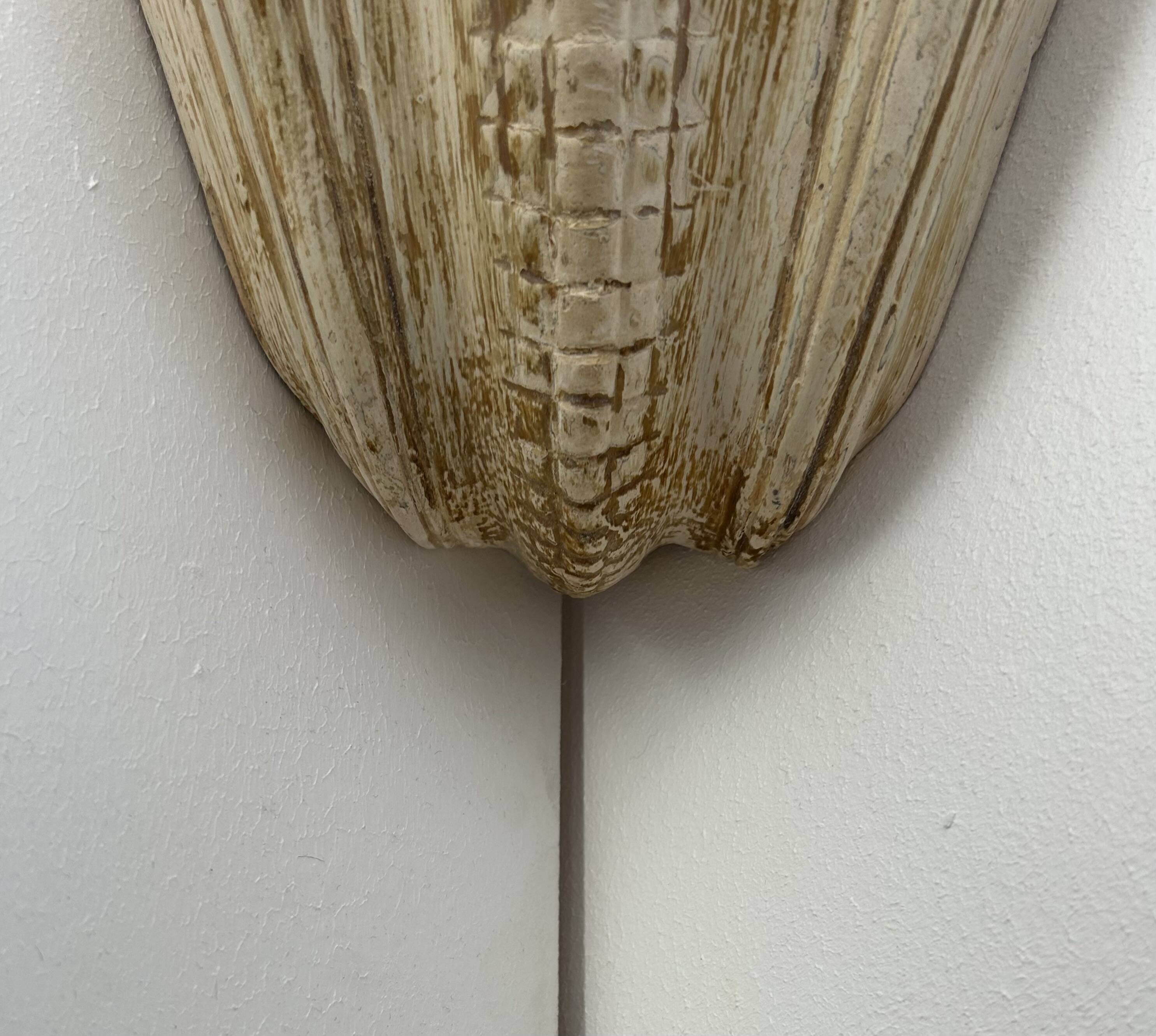 Pair of vintage shell wall lights, beige patinated plaster, France, 1940