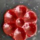 4 oyster plates in vintage red glazed ceramic slip and collector