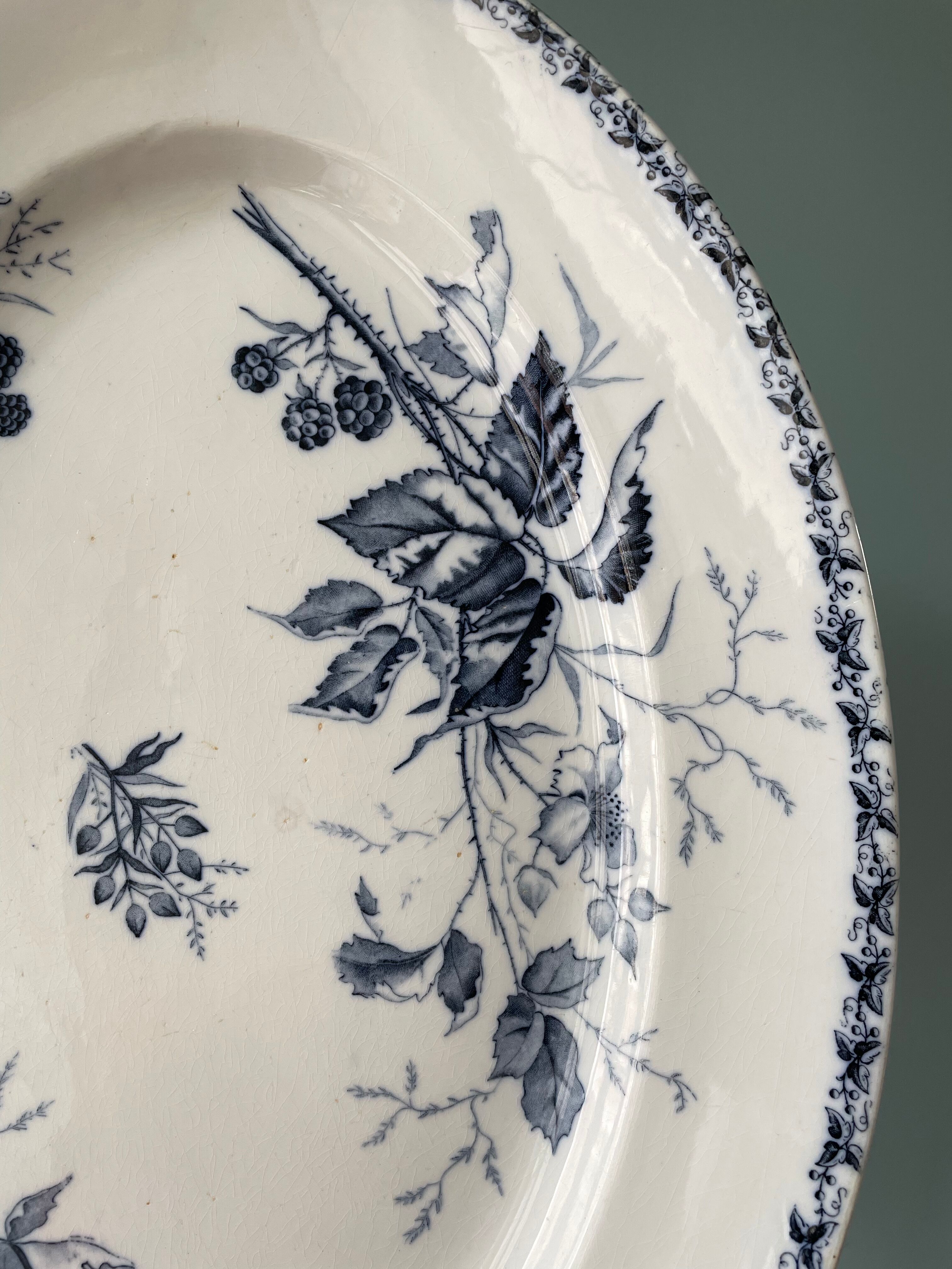 Set of two dishes "Blackberry" T.F Badonviller