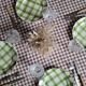La Redoute x Selency set of 4 green dinner plates