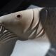 2 antique Italian ceramic fish dishes