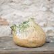 Vintage glazed ceramic soliflore, La Borne pottery, countryside, brutalist.
