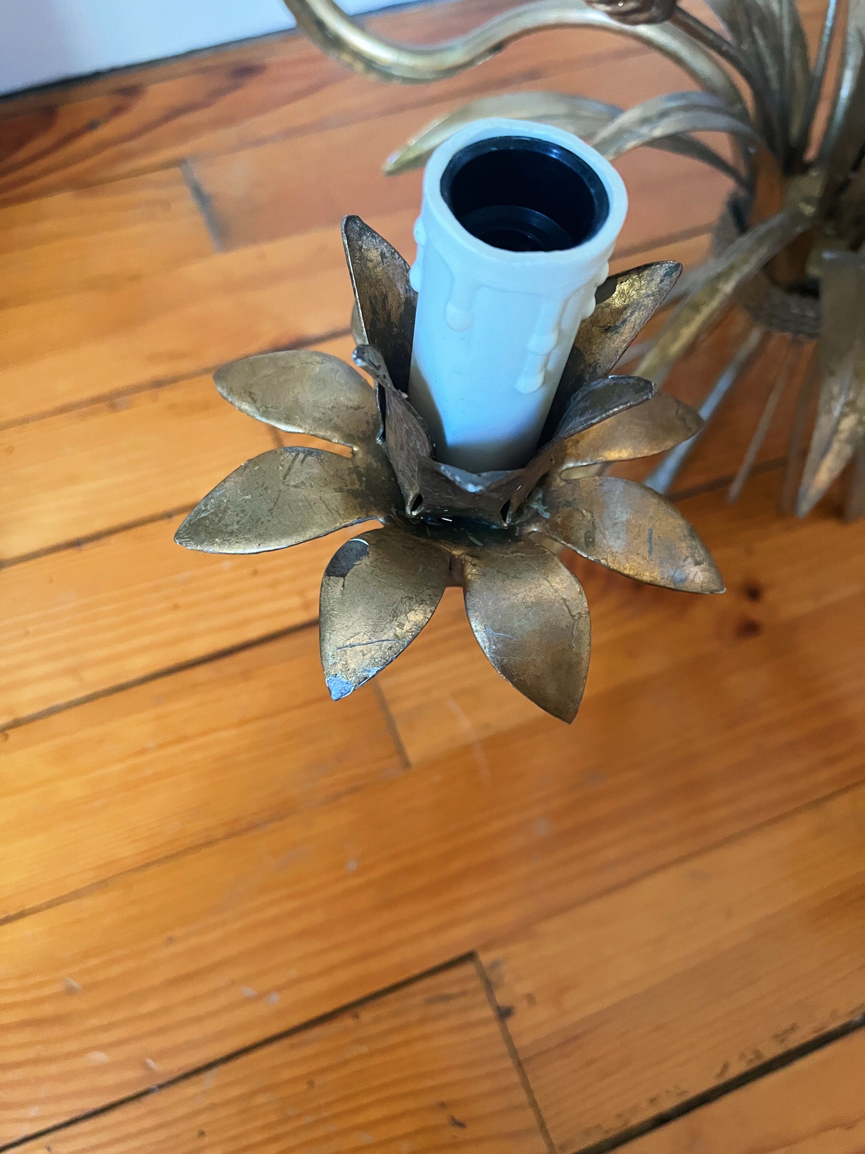 Golden wheat coat luster