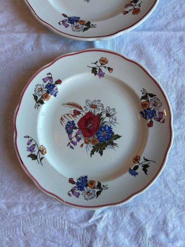Lot de 6 assiettes vintage Saint-Clément – Décor floral – Très bon éta
