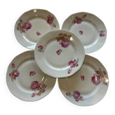 Set of 5 plates with rose patterns.