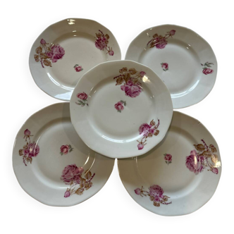 Set of 5 plates with rose patterns.